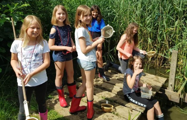 Abschlussgrillen der Klasse 4b im Biologiezentrum Bustedt